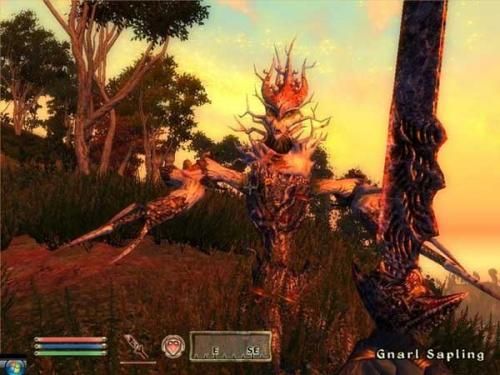 The Elder Scrolls IV Shivering Isles 021012,4